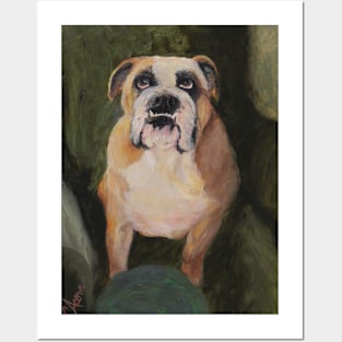 English Bulldog Ruby Rose Posters and Art